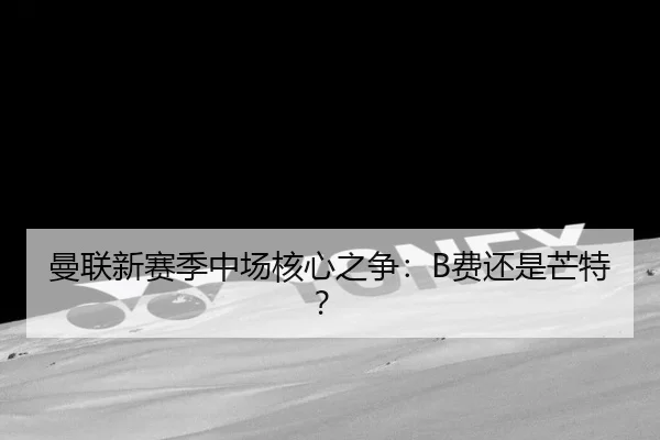 曼联新赛季中场核心之争：B费还是芒特？